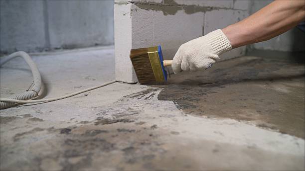 SJ Waterproofing Pros Crawl Space Encapsulation coverage map for Elmwood Park, NJ and surrounding area